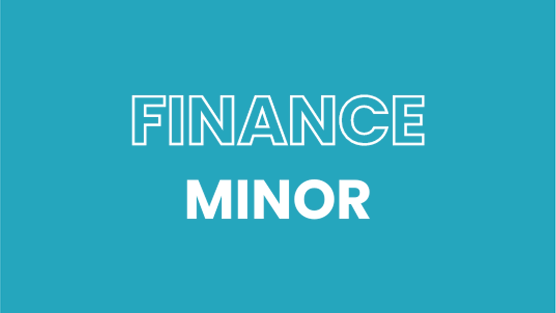 FINE Minor