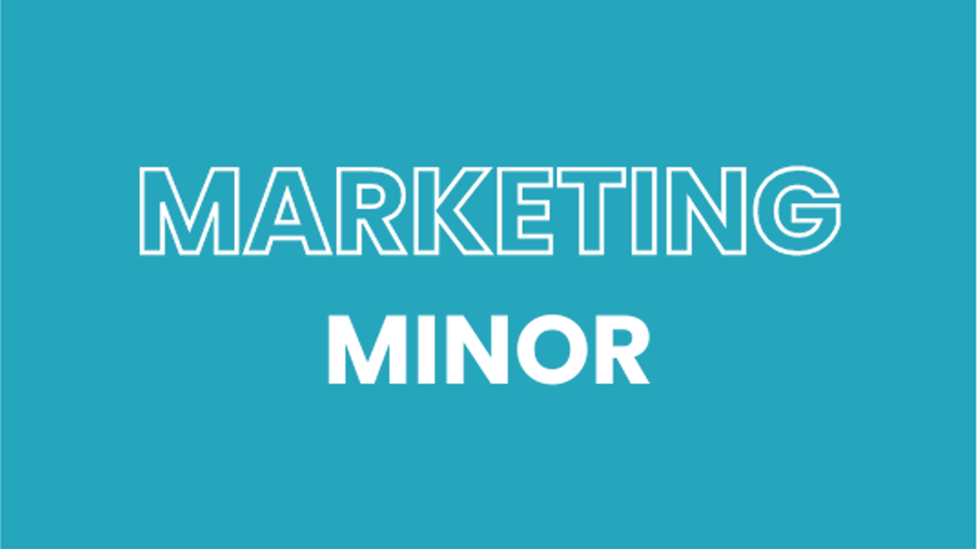 MKTG Minor
