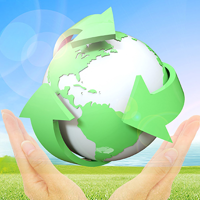 Sustainable Management Systems