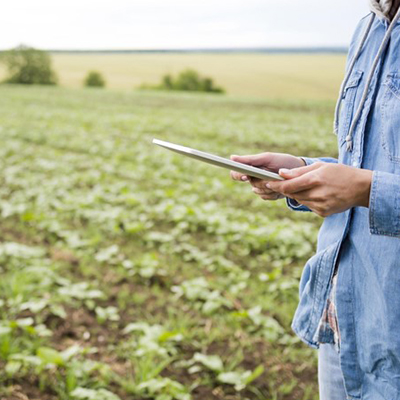 Food Quality, Law and Safety Management