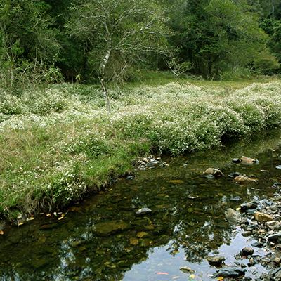 Land and Water Resources Management