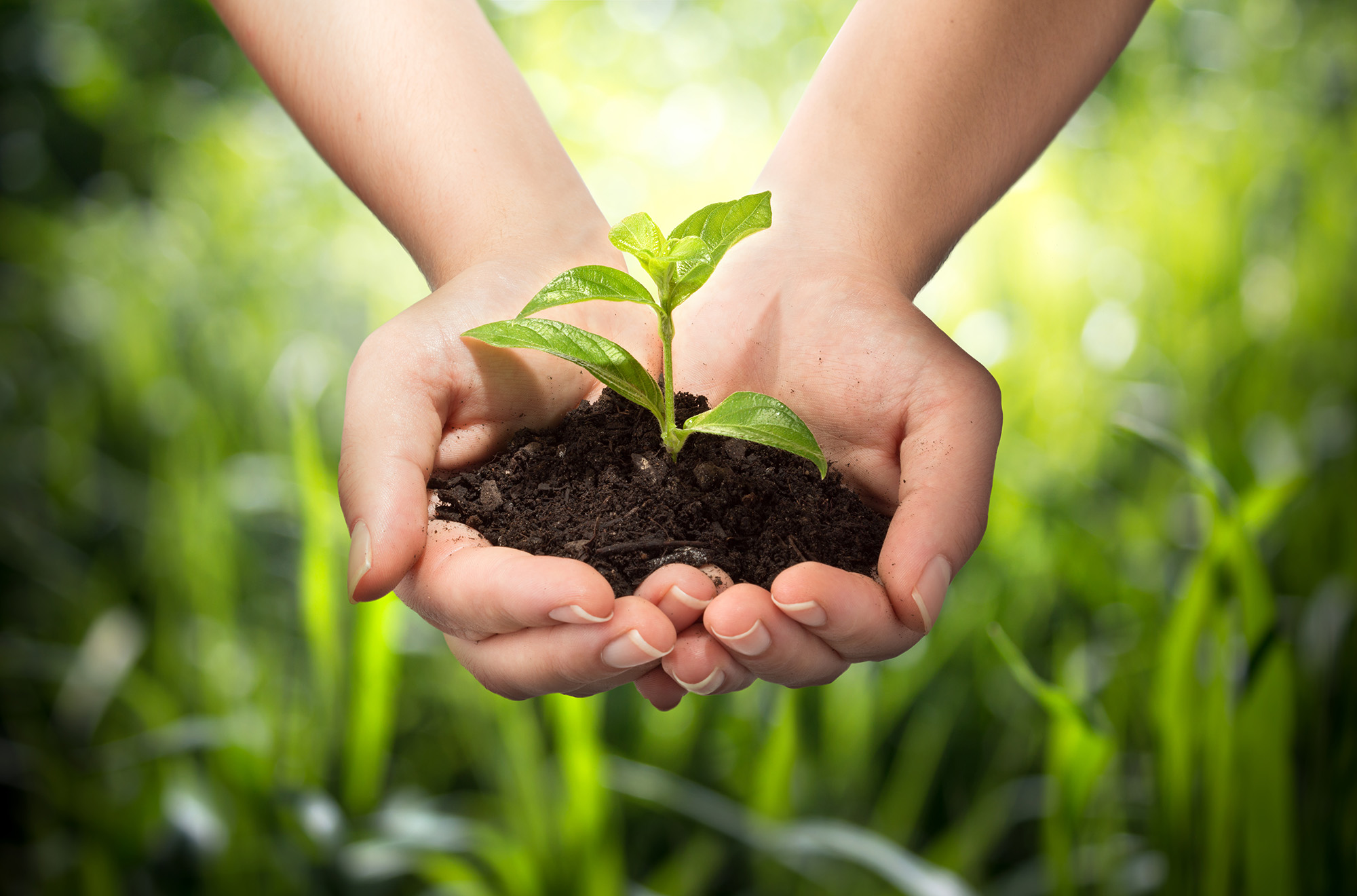 sustainability