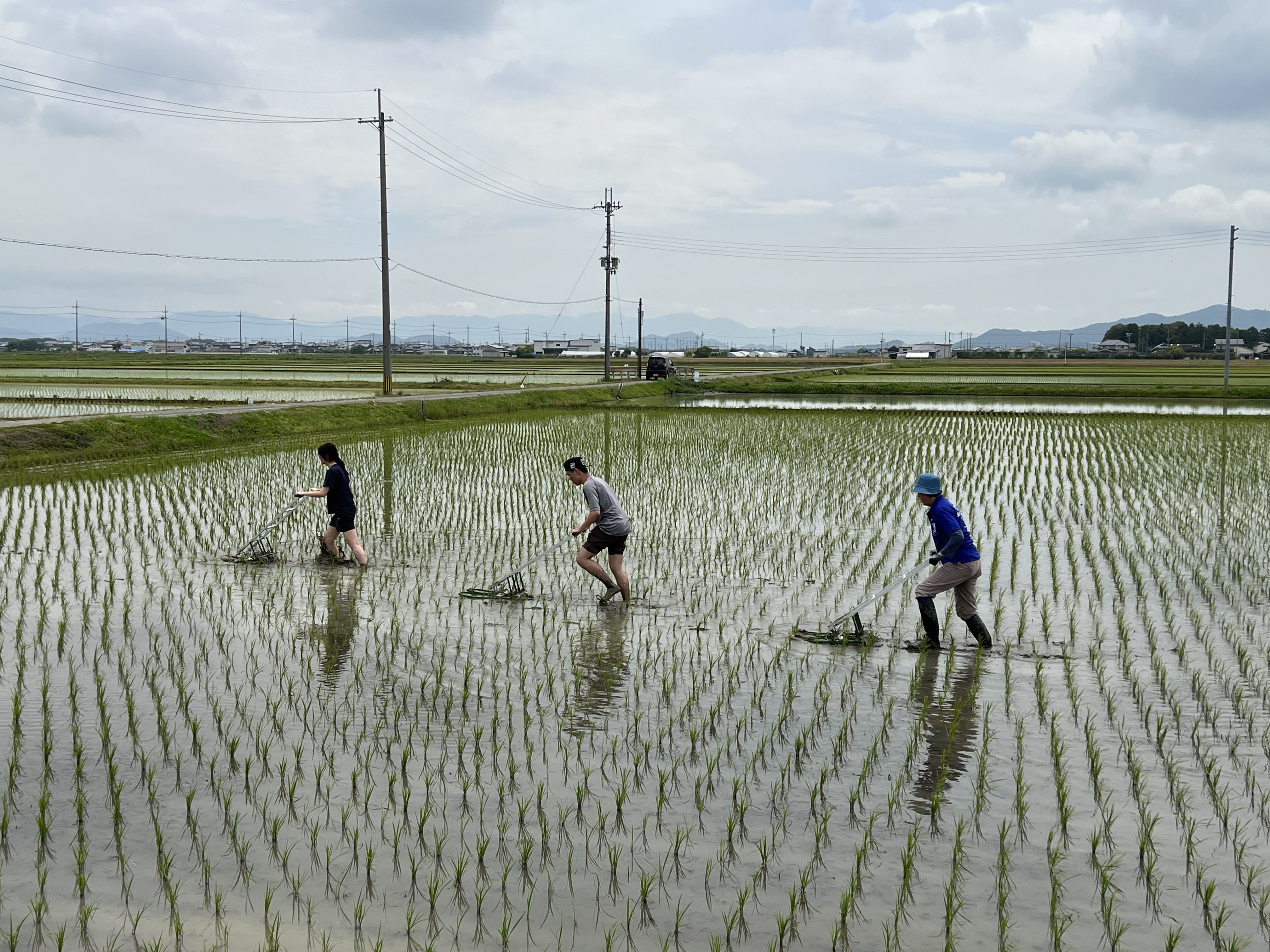 AY2324_Sem2_Geog3005_KyotoFieldTrip