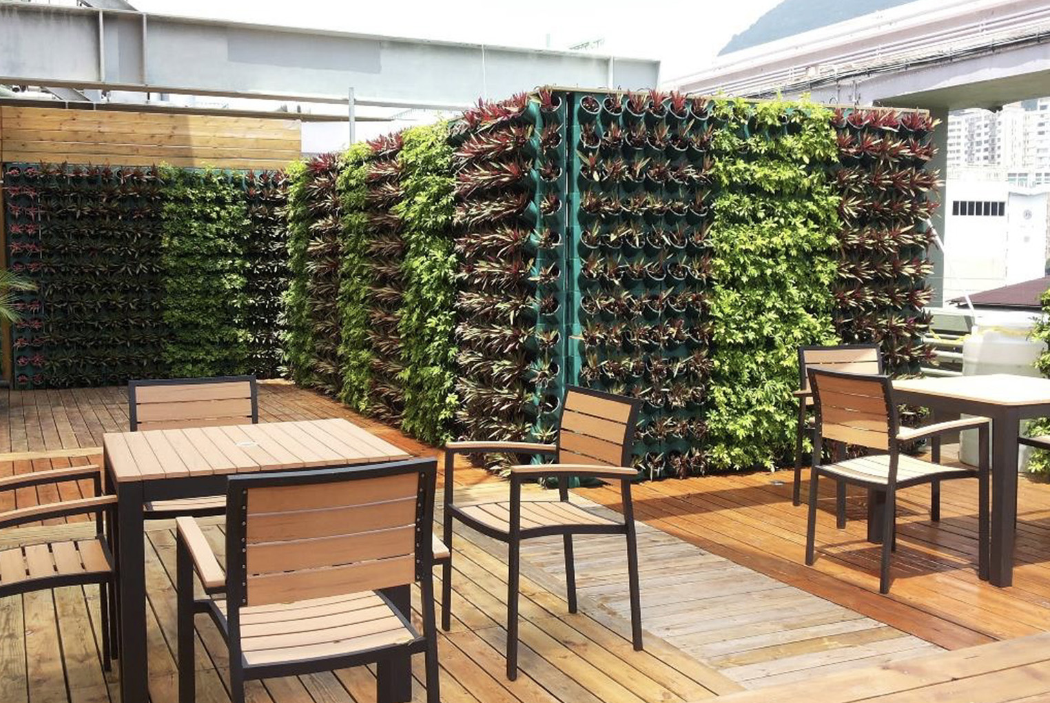 Green Roof at Oen Hall Building (Main Building) (L12)