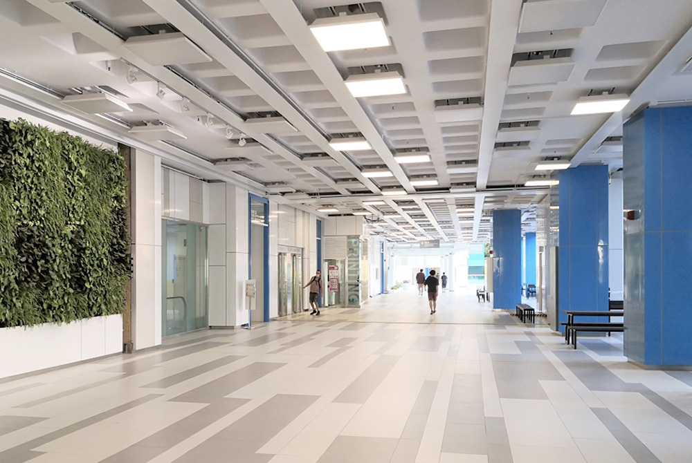 Li Promenade Revamp