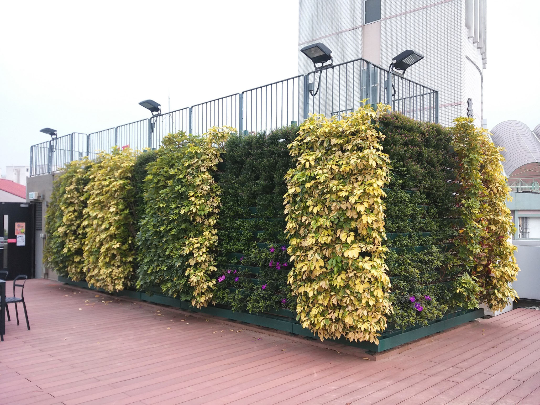Rooftop of Sing Tao Building