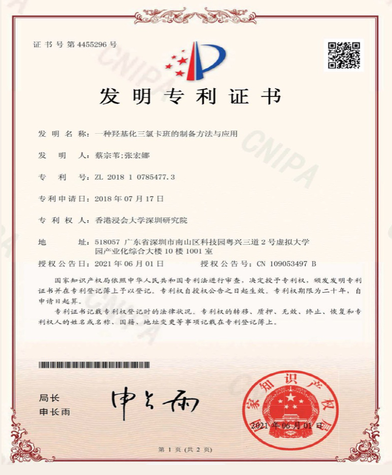 patent-01