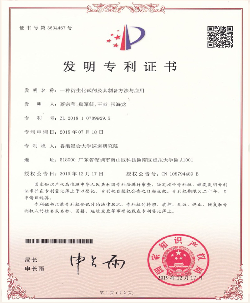 patent-02