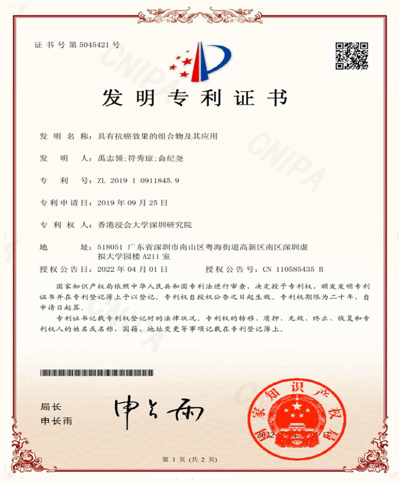 patent-05