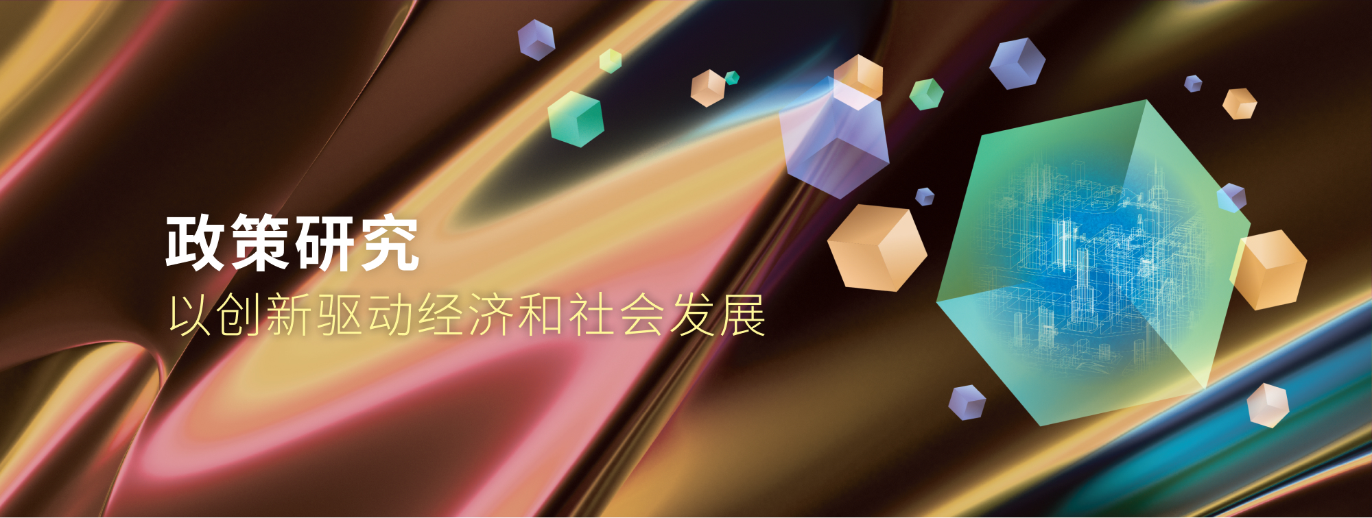 政策研究