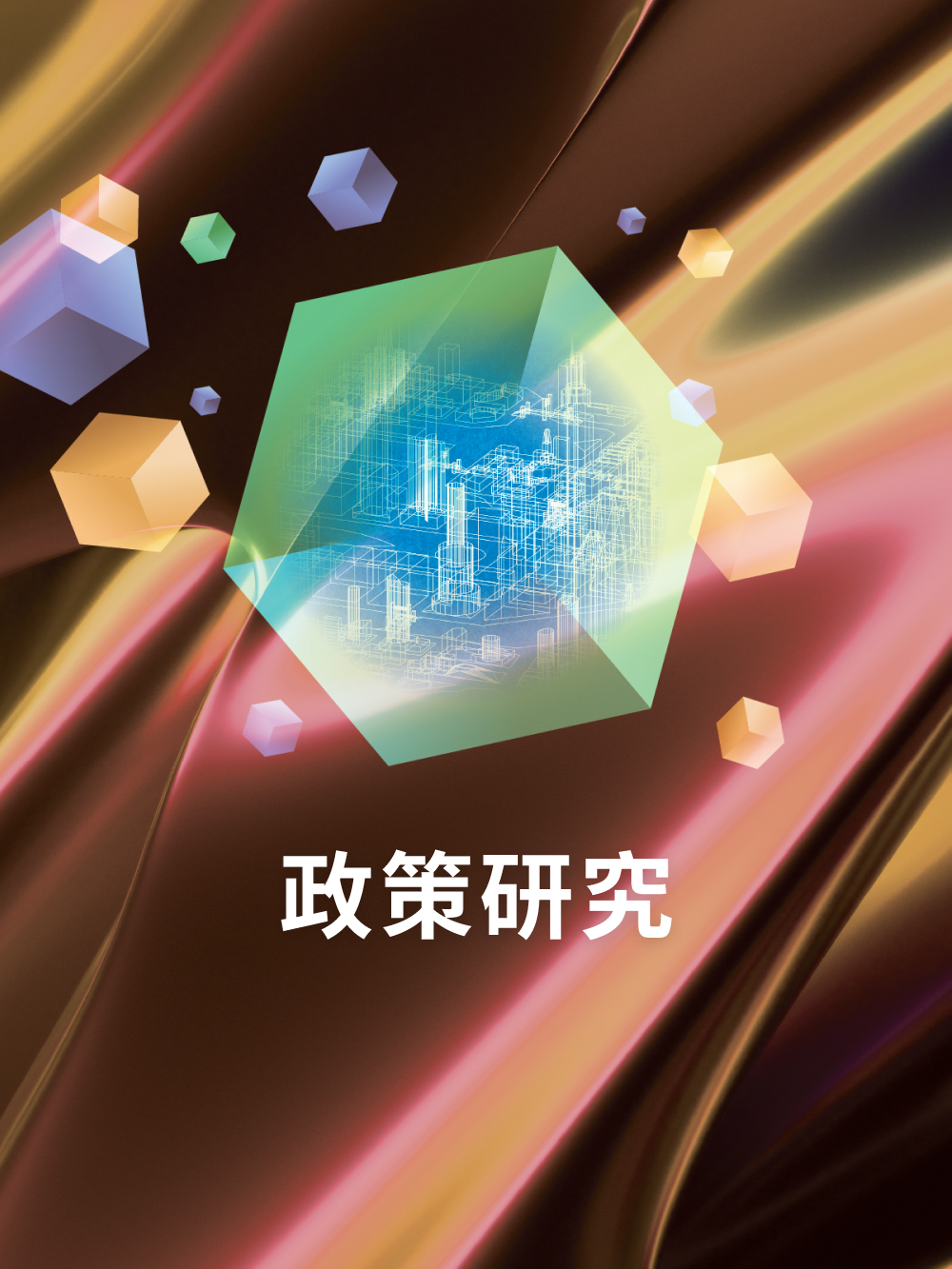 政策研究