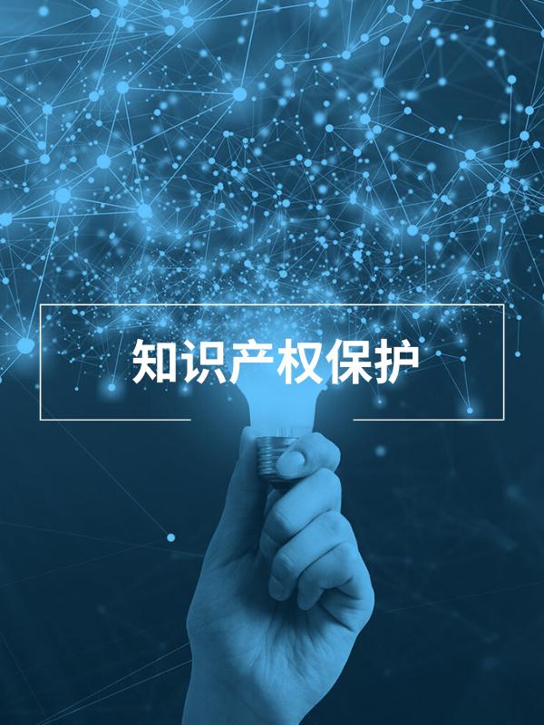 知识产权保护