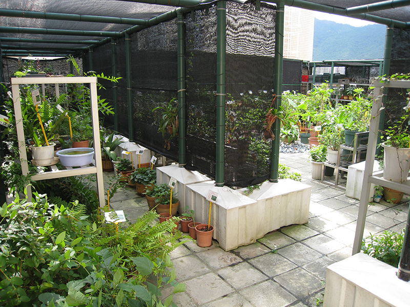 Herbal garden_1