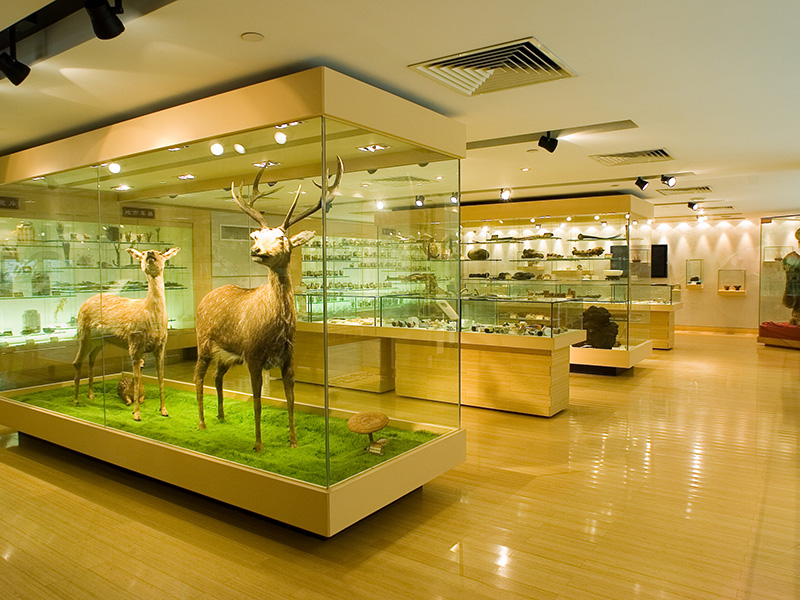 Image of Bank of China (Hong Kong) Chinese Medicines Centre