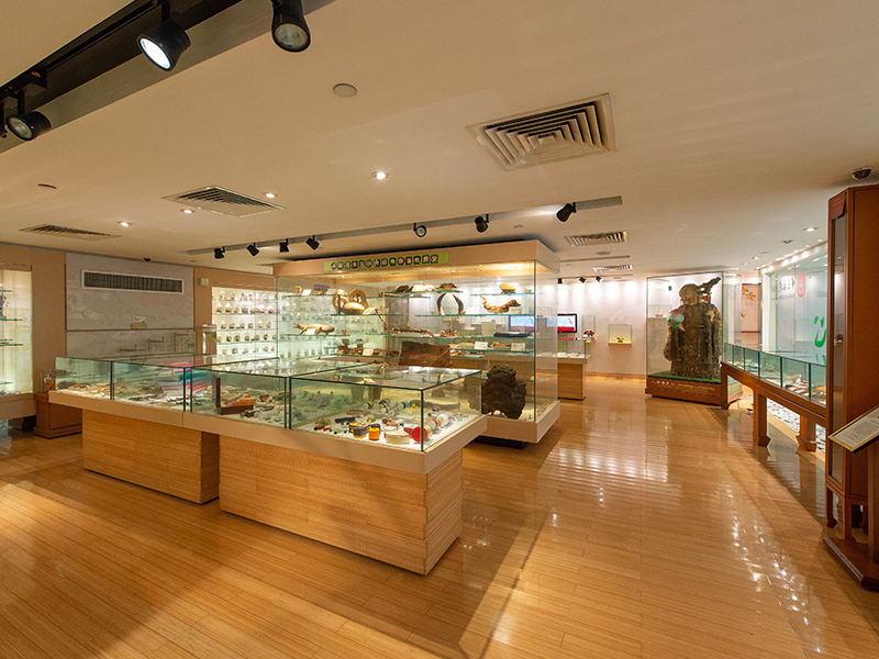 Image of Bank of China (Hong Kong) Chinese Medicines Centre