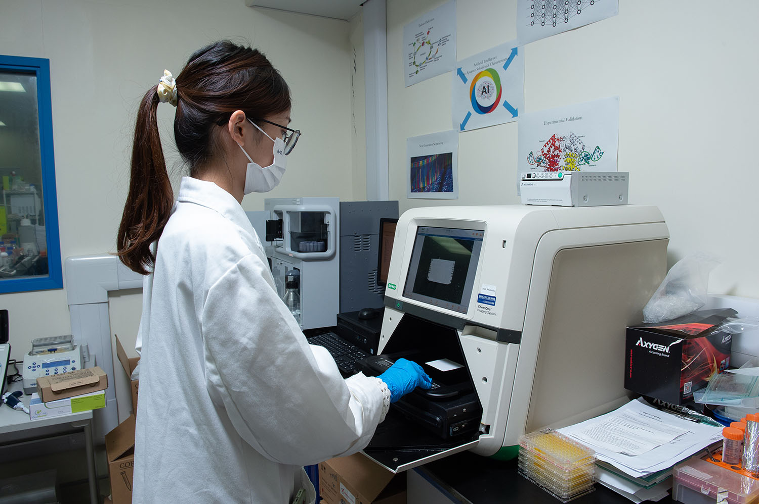 Postdoctoral Research Fellows