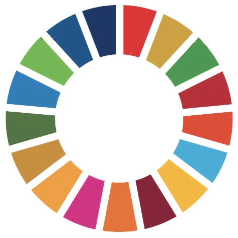 SDG MAPPING APPROACHES